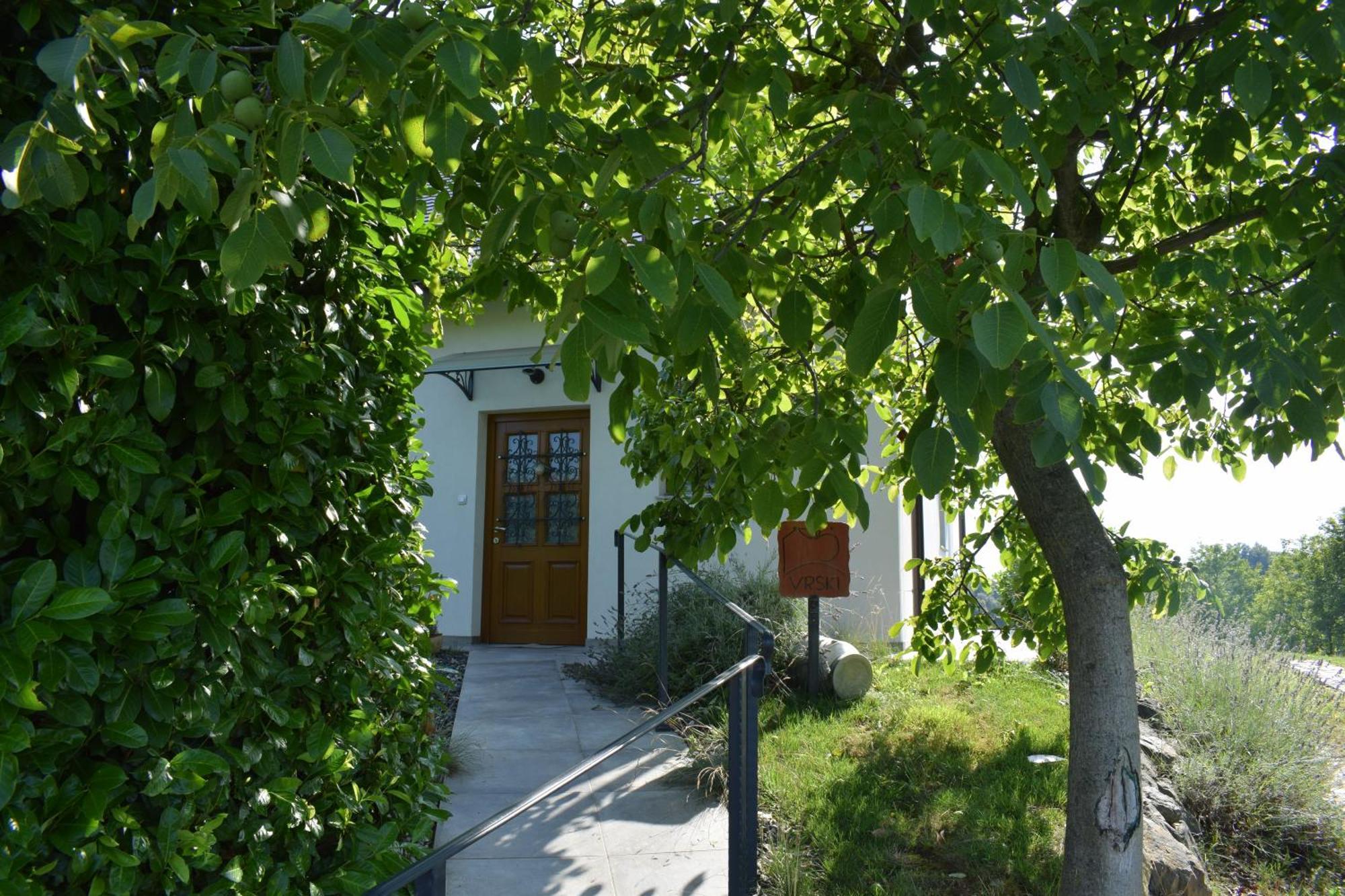 Domacija Vrski Словенска-Бистрица Экстерьер фото